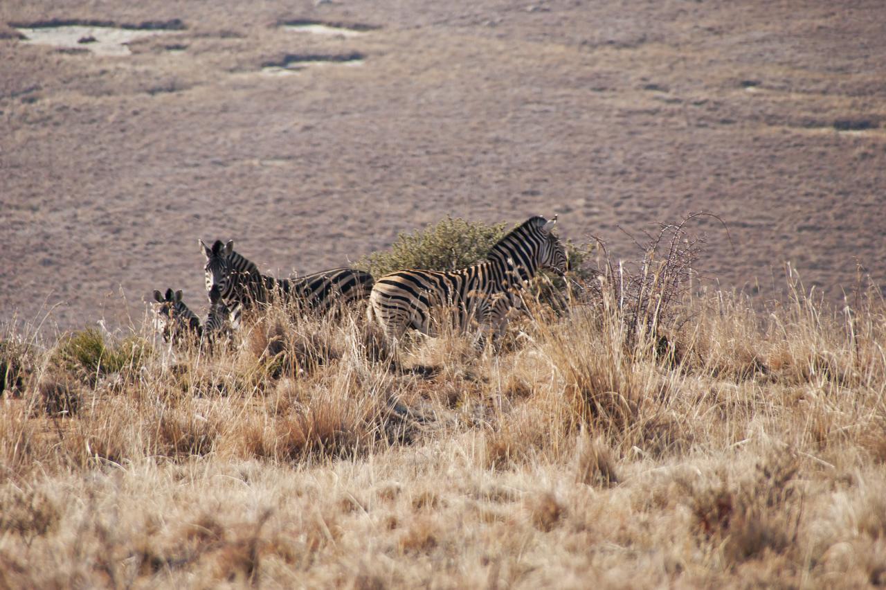 Lodge De Ark Mountain Clarens